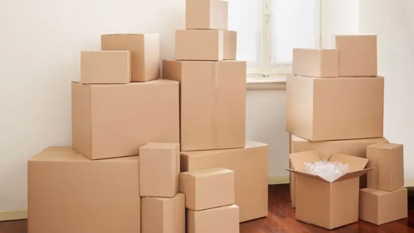 Items to Set Aside When Moving