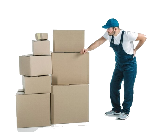 Medium Cartons